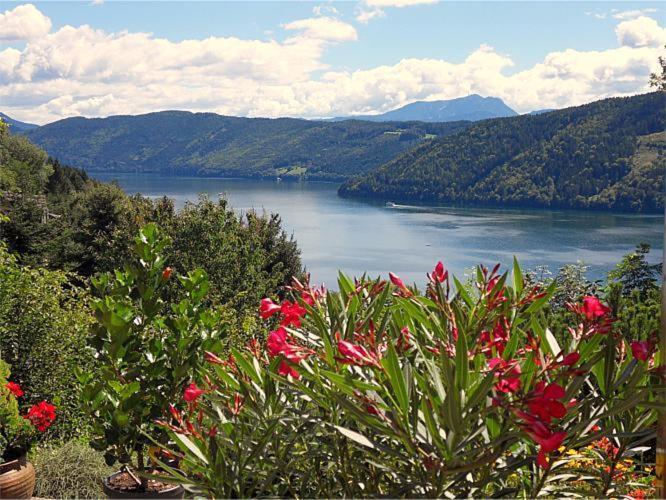 FeWo in der Weinleiten Millstatt am See Exterior foto